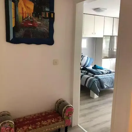 Vida Real Estate Theodor